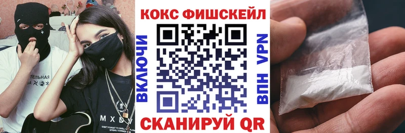 Кокаин Fish Scale  darknet как зайти  Новотитаровская  mega tor 