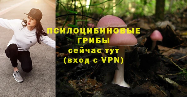 кокаин Нестеровская