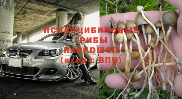 кокаин Нестеровская