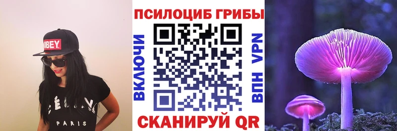 наркотики  Новотитаровская  omg маркетплейс  Псилоцибиновые грибы Psilocybe 